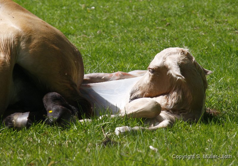 Hjoerdis 5 Min alt (6).JPG